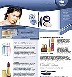 Website example