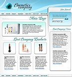 Website example