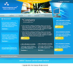 Website example