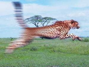 Creating Motion Tutorial: Final Result