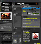 Website example