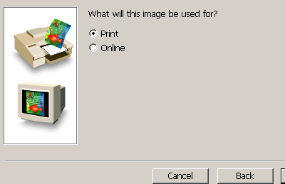 Export Transparent Image Wizard