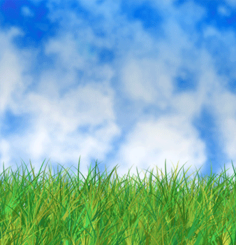 image 24
