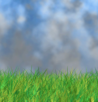image 25