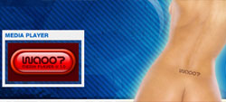 Skin for Windows Media Player