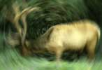 photoshop filters / plugins radial blur
