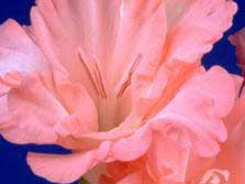 photoshop image effects