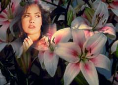 photoshop image lessons