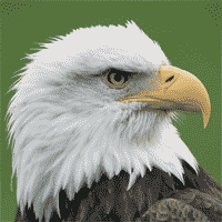 photoshop image effects main image