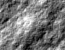 Stone Texture