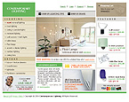 Website example