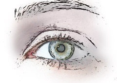 Color Drawing Tutorial: Final Result