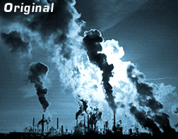 Original Image