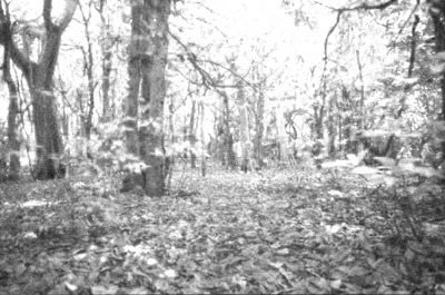 An infra-red Tutorial: Final Result