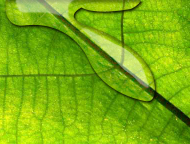 Water Drops Tutorial: Final Result