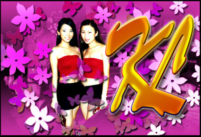 Asian Butterfly/Vector Design Tutorial: Final Result