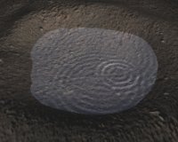 How To Make Water Ripple Tutorial: Final Result