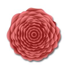 Rose Tutorial: Final Result