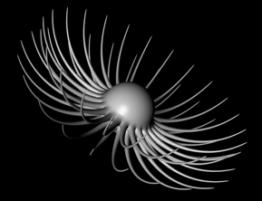 Abstract Flower