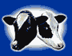 Tucows