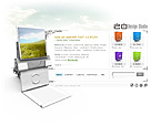 Website example