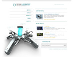 Website example