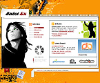 Website example