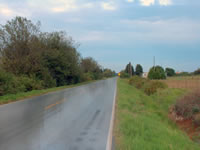 Wet Road Tutorial: Final Result