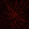 Click to read this material