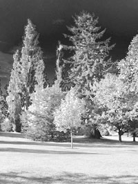 Infrared Effect
