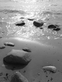 Soft Black & White Photograph Tutorial: Final Result