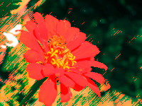 Colour Sketch Filters Tutorial: Final Result