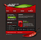 Optimizing a website with Flash