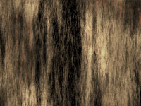 Wood Tutorial: Final Result