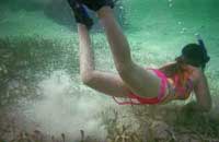 Correcting Underwater Photos Tutorial: Final Result