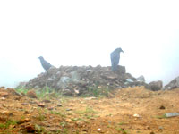 Removing Fog Tutorial: Final Result