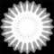 Click to read this material