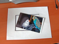 Printing Borderless Photos Without a Borderless Printer Tutorial: Final Result