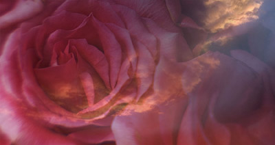 Use Layer Masks to Help Blend in Images Tutorial: Final Result