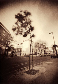 You, too can Have Fun with Sepia Images!