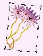 image 33