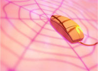 Chasing The Spider - Simple RSS Tactics That Can Give Your Site The Edge