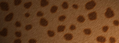 Fur Texture Tutorial: Final Result