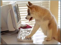 user friendly website design, user friendly sites, user friendly site design