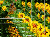 Technical Info About Digital Art