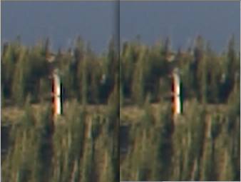 Resizing In Camera Raw Tutorial: Final Result