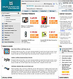 Website template example