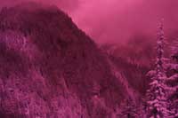 Infrared Photo