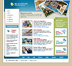 Website example