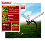 Website example